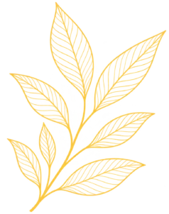 Déco Ehpad Maison Saint-Joseph Mazamet - Branche de feuille