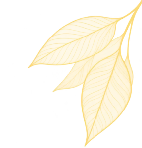 Déco Ehpad Maison Saint-Joseph Mazamet - feuilles
